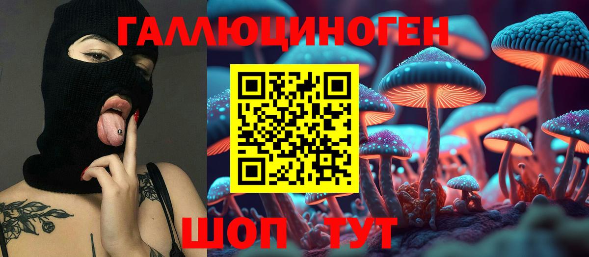 Галлюциногенные грибы мухоморы Светлоград